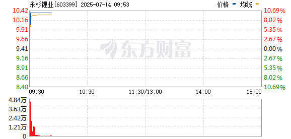 R图 603399_0
