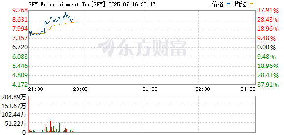 R图 SRM_0