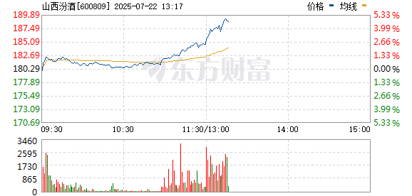 R图 600809_0