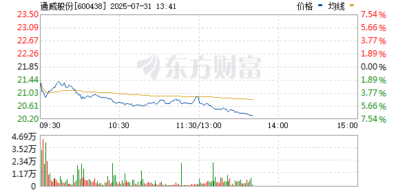 R图 600438_0