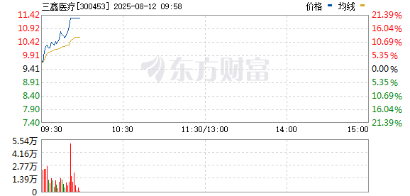 R图 300453_0