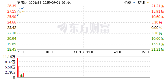 R图 300465_0